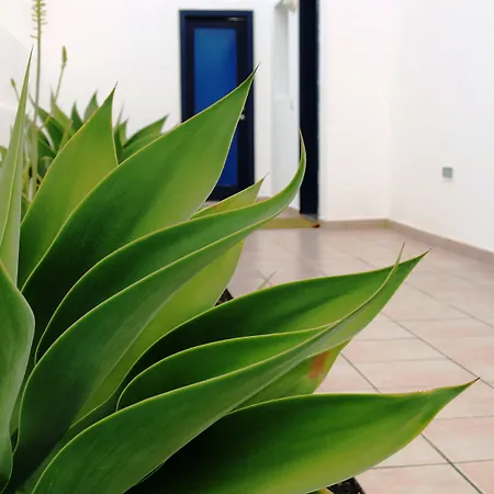 Puerto Rubicon Hotel